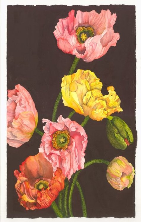 Dance Party by Mary Lyn Gough